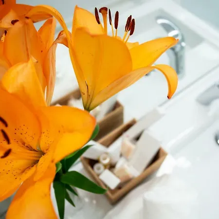 Plazuela Del Carbon Cadiz