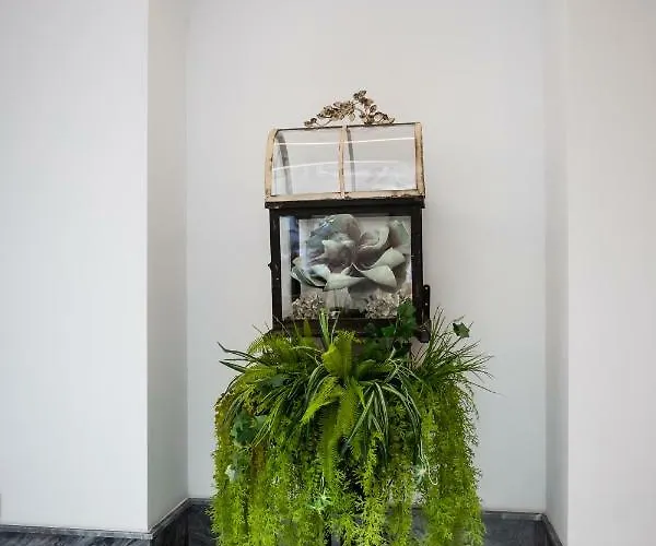 Plazuela Del Carbon Aparthotel Cádiz